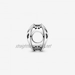 Pandora Sterling Silver 925 Not Applicable Amulet - 798869C00