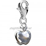 FASHIONS FOREVER® 925 Sterling Silver Apple a day Clip-on Charm Handmade in UK