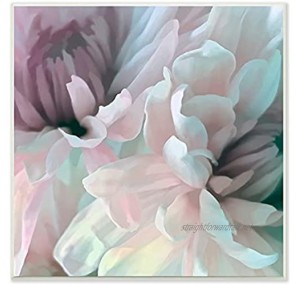 Stupell Industries Pink Floral Petal Study Blush Tone Flowers Designed by David Pollard Wall Plaque