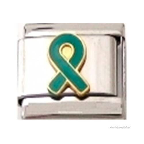 Stylysh Charms Ribbon Ovarian Cancer Teal Enamel Italian 9mm Link NC208 Fits Traditional Classic