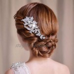 EVER FAITH Women's Austrian Crystal Wedding Elegant Flower Butterfly Hair Comb Clear Silver-Tone