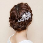 EVER FAITH Women's Austrian Crystal Wedding Elegant Flower Butterfly Hair Comb Clear Silver-Tone