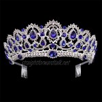 DANLINI Tiara Crowns Vintage Crystal Pageant Princess Crowns with Comb Bridal Tiaras