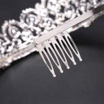 DANLINI Tiara Crowns Vintage Crystal Pageant Princess Crowns with Comb Bridal Tiaras