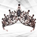 HAWFHH Baroque Bridal Crowns And Tiaras Vintage Crystal Queen Crown Rhinestone Headband For Bride Women Wedding Prom Pageant