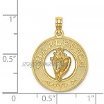14ct Gold Char Pendant Necklaceleston Round Frame With Conch Shell Center Jewelry Gifts for Women