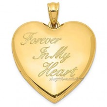 Sterling Silver Gold-tone Forever In My Heart Ash Holder Heart Locket for Women