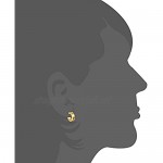 Sailimue Stainless Steel Clip on Earrings for Men Women Hoop Huggie Earrings