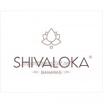 SHIVALOKA 4 Mukhi Rudraksha Original Silver Plated Pendant | 15.00 - 18.00 mm size | Four Face Nepal Origin | For Men and Women |