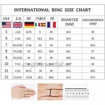 EVBEA 4 Colors Mens Ring Stainless Steel Rotatable Chain Rings Band Punk Wedding European Style Jewellery for Men Women with Necklace Chain