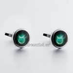 Amody Mens Stainless Steel Silver Green Cuff Link Oval Luminous Constellation Stone Wedding Business Classic Cufflinks